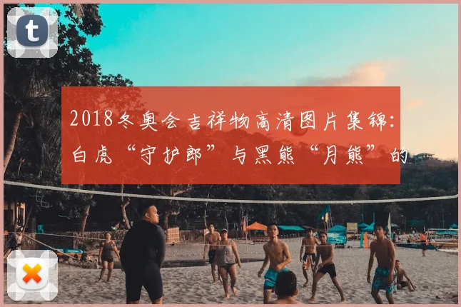 2018冬奥会吉祥物高清图片集锦：白虎“守护郎”与黑熊“月熊”的冰雪魅力